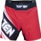 Шорты ММА TOPTEN Fight Team
