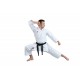 Кимоно Каратэ Hayashi "Katamori" (аккредитован WKF) Кимоно Каратэ Hayashi "Katamori" (аккредитован WKF)