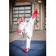 Кимоно Каратэ Hayashi "Premium Kumite" (аккредитован WKF) Кимоно Каратэ Hayashi "Premium Kumite" (аккредитован WKF)
